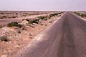 WT 1600 235-29 Egypt
